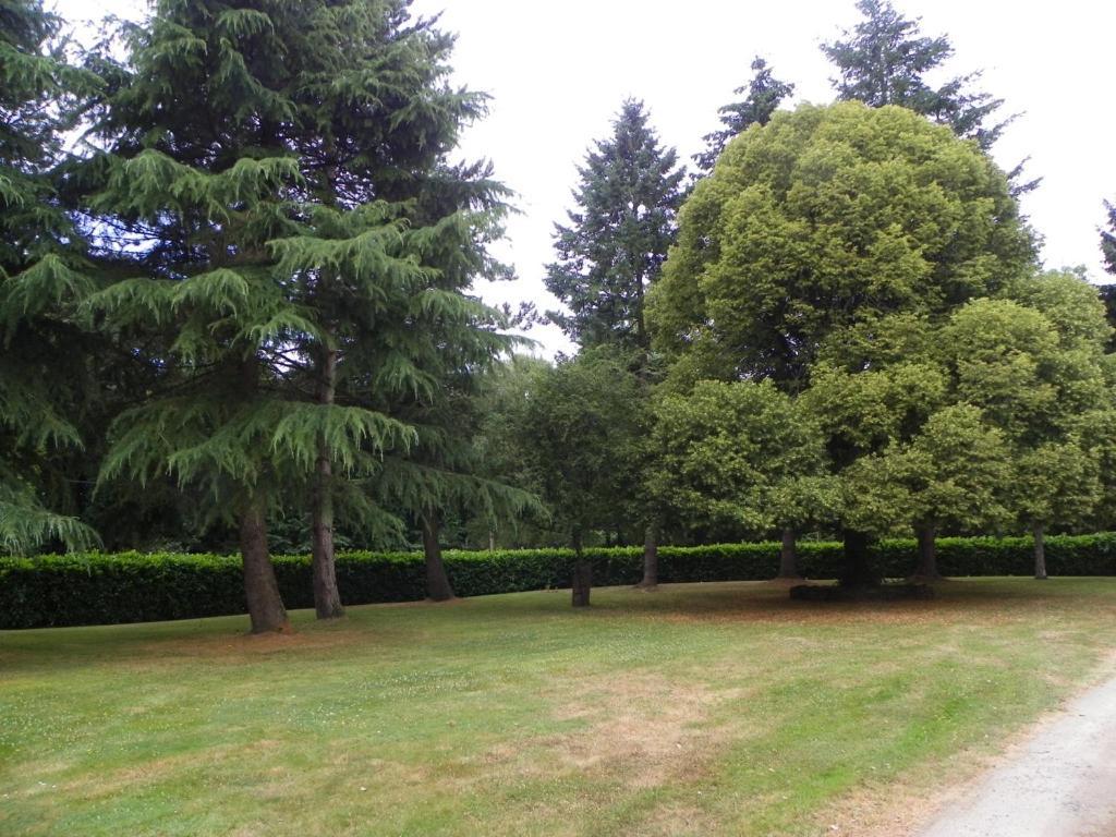 Manoir De Saint-Fiacre Bed & Breakfast Malansac ภายนอก รูปภาพ