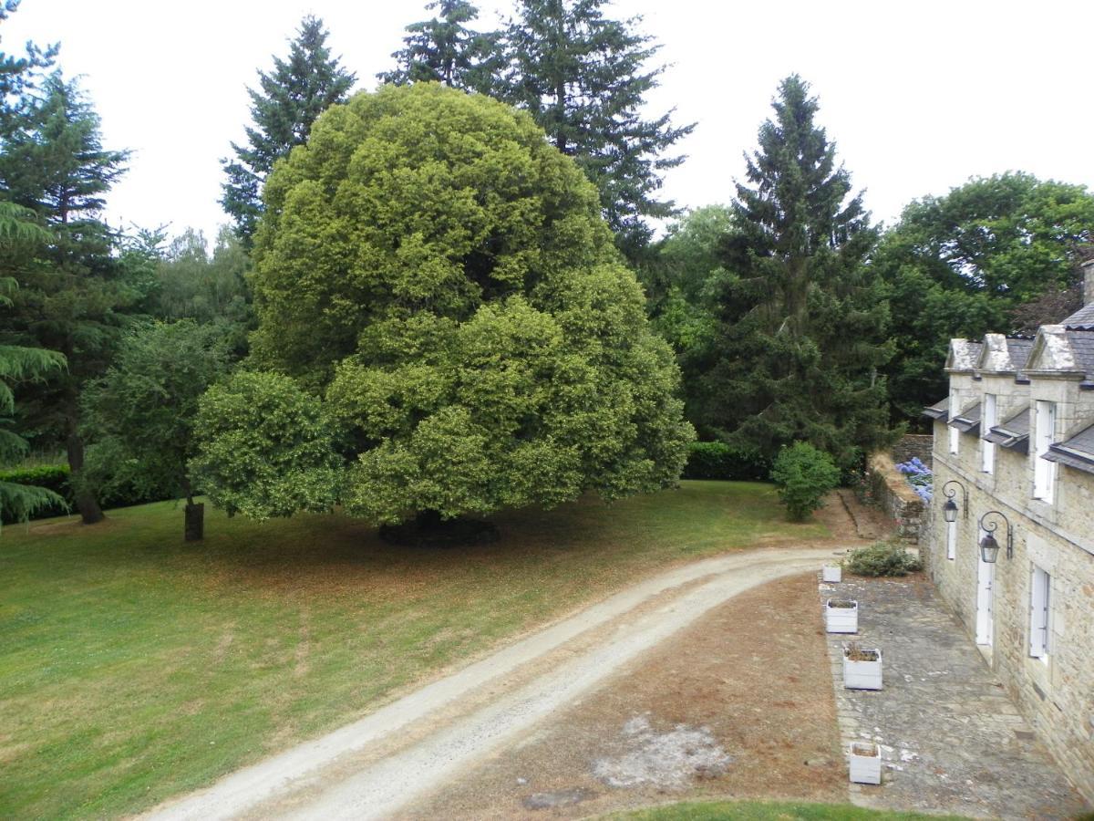 Manoir De Saint-Fiacre Bed & Breakfast Malansac ภายนอก รูปภาพ